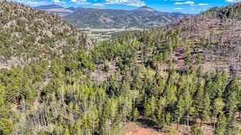 56 Fir Ln, Florissant, CO 80816