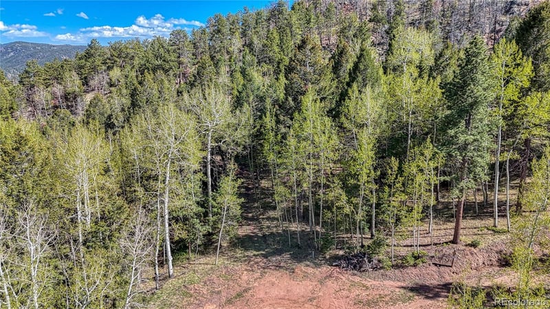 56 Fir Ln, Florissant, CO 80816