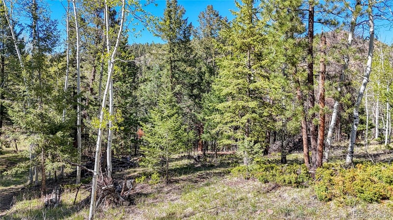 56 Fir Ln, Florissant, CO 80816