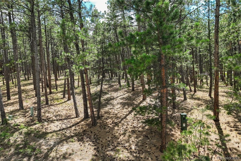 17960 Smugglers Rd Lot 17, Monument, CO 80132
