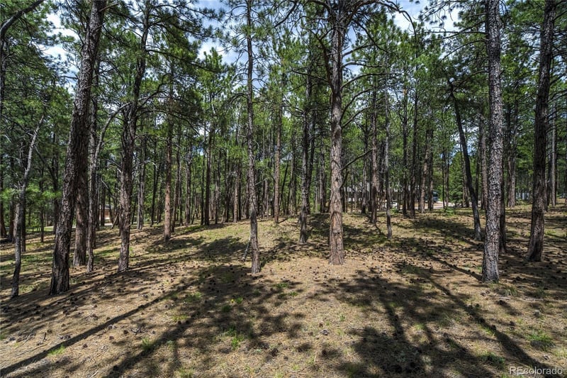 17960 Smugglers Rd Lot 17, Monument, CO 80132