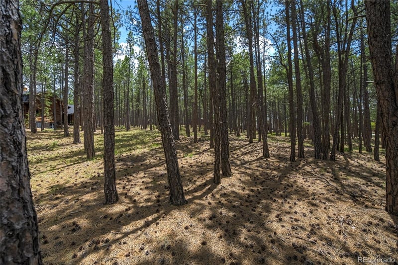 17960 Smugglers Rd Lot 17, Monument, CO 80132