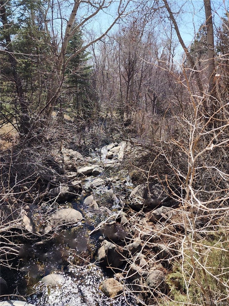 4333 Camino Baca Grande, Crestone, CO 81131