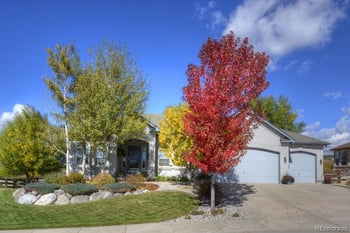 698 Larimer Creek Dr, Monument, CO 80132