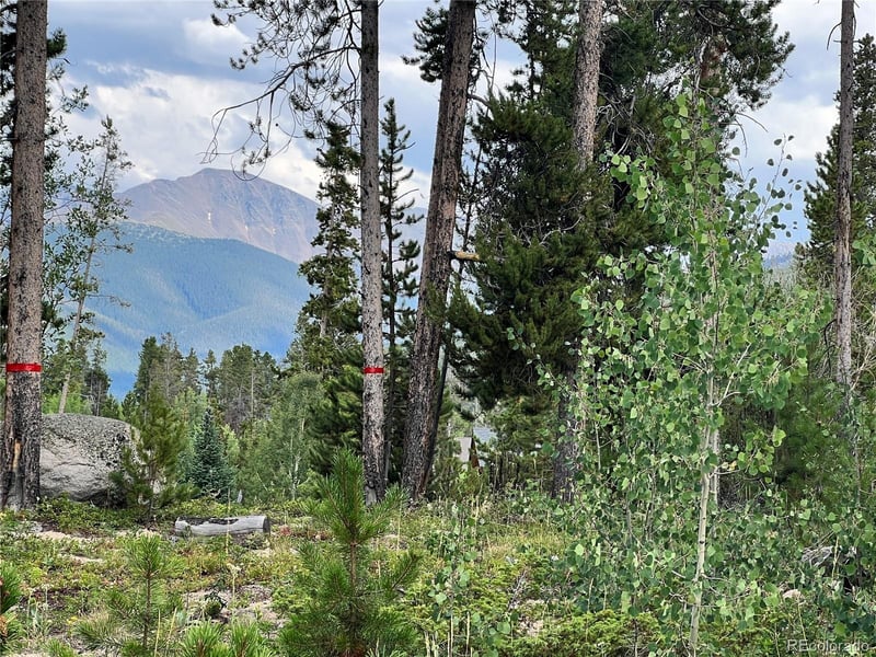 335 Moose Trl, Winter Park, CO 80482
