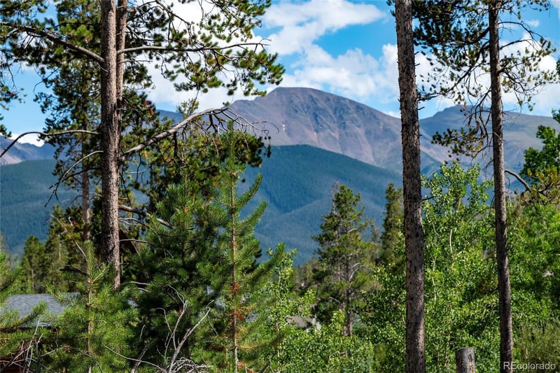 335 Moose Trl, Winter Park, CO 80482