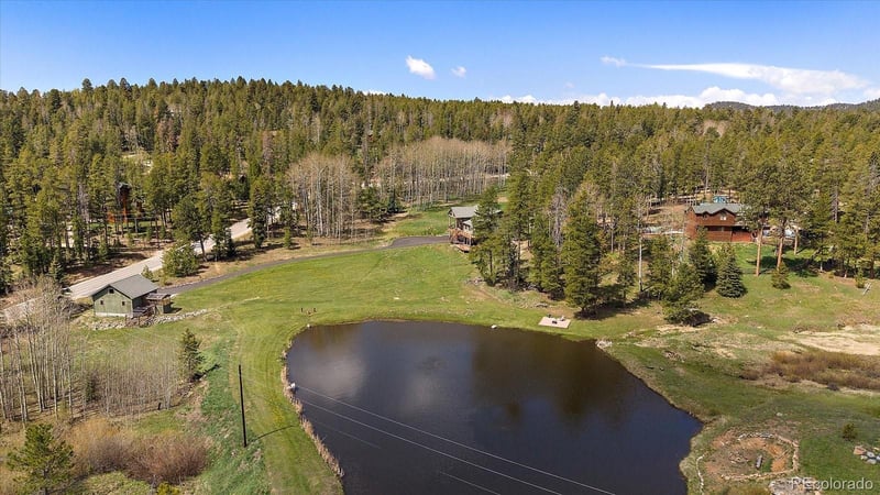 22025 Oehlmann Park Rd, Conifer, CO 80433