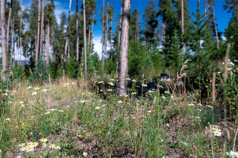 345 Moose Trl, Winter Park, CO 80482
