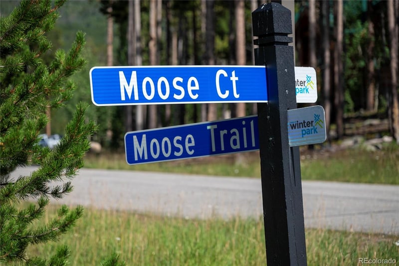 345 Moose Trl, Winter Park, CO 80482