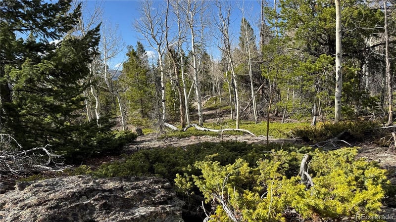 002 Pewabic Mine Rd Lot N002716, Central City, CO 80427