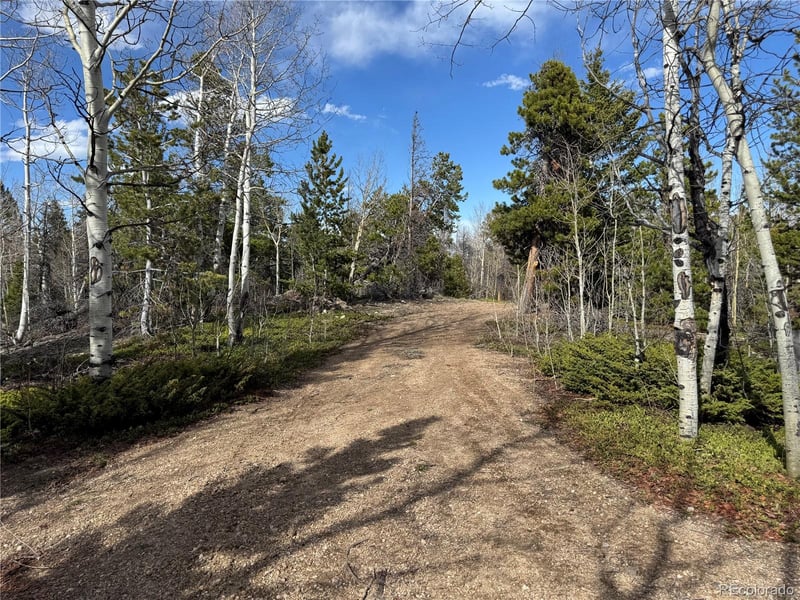 002 Pewabic Mine Rd Lot N002716, Central City, CO 80427