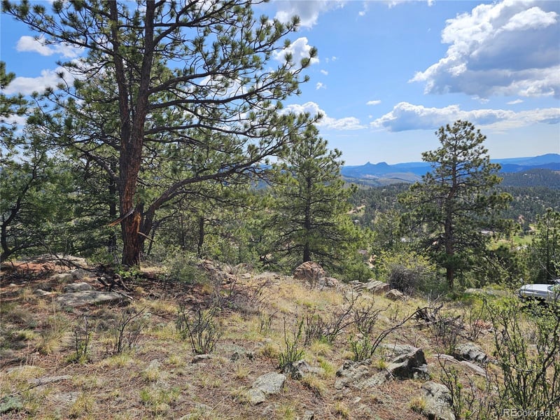 000 Dick Mountain Dr, Bailey, CO 80421