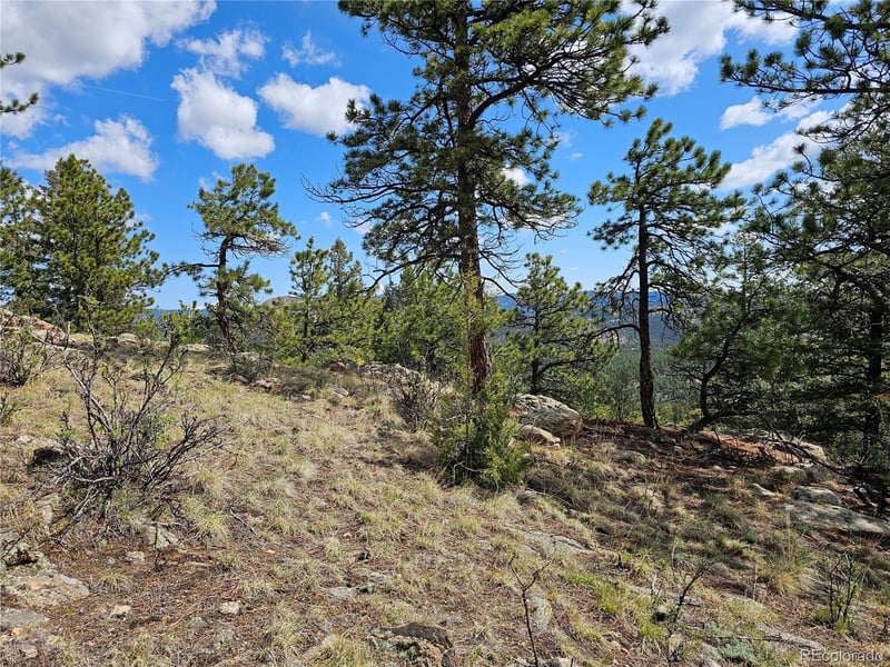 000 Dick Mountain Dr, Bailey, CO 80421
