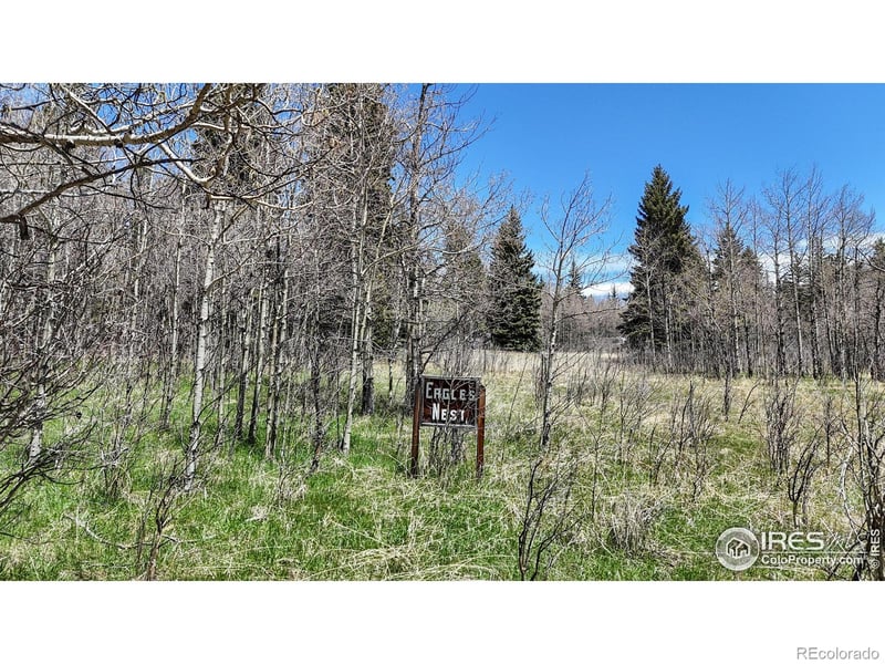 Galuchie Dr, Drake, CO 80515