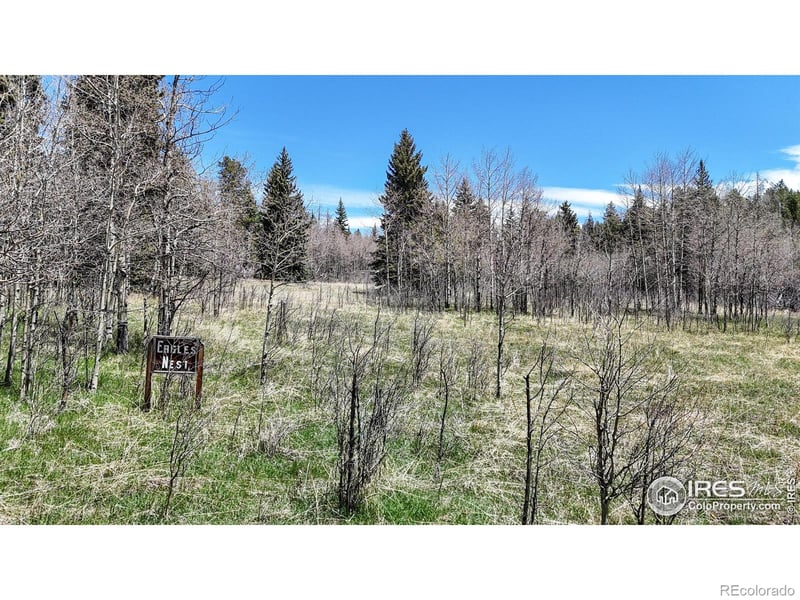 Galuchie Dr, Drake, CO 80515