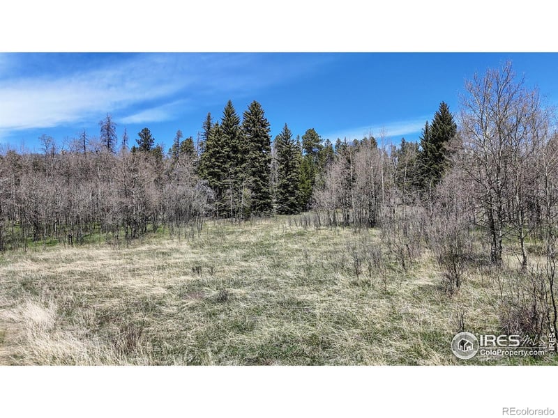 Galuchie Dr, Drake, CO 80515