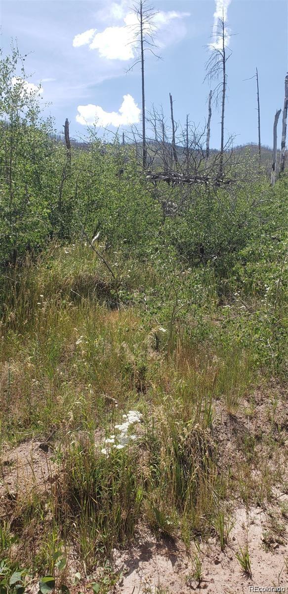 1929 Korlkoff Ln Lot 1929, Fort Garland, CO 81133