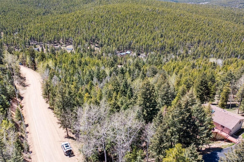 8793 Martin Ln, Conifer, CO 80433