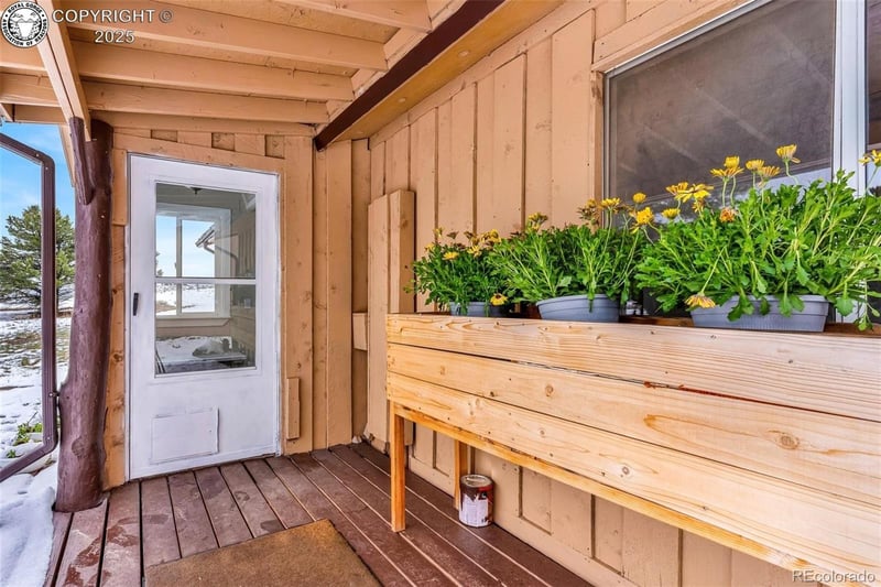 290 Cavalier Dr, Cotopaxi, CO 81223