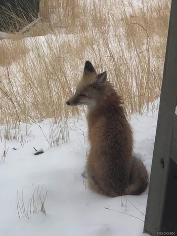 23846 Genesee Village Rd, Golden, CO 80401