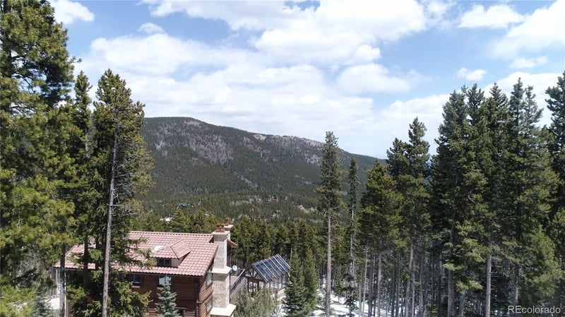 312 Sawmill Ln, Idaho Springs, CO 80452