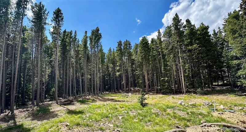 312 Sawmill Ln, Idaho Springs, CO 80452