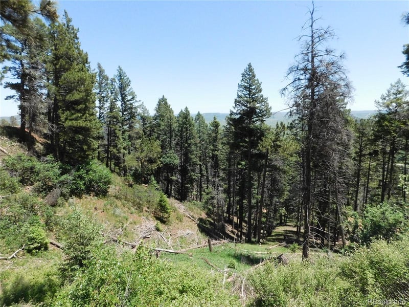 13520 Woodmoor West Dr, Larkspur, CO 80118