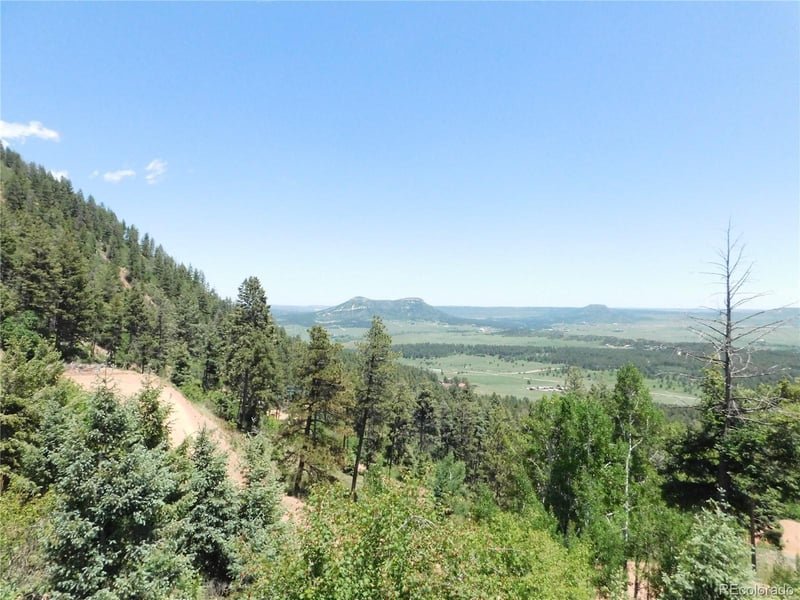 13520 Woodmoor West Dr, Larkspur, CO 80118