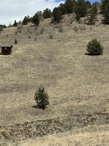 1538 County Road 1, Cripple Creek, CO 80813