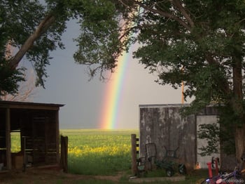 22500 Enoch Rd, Calhan, CO 80808