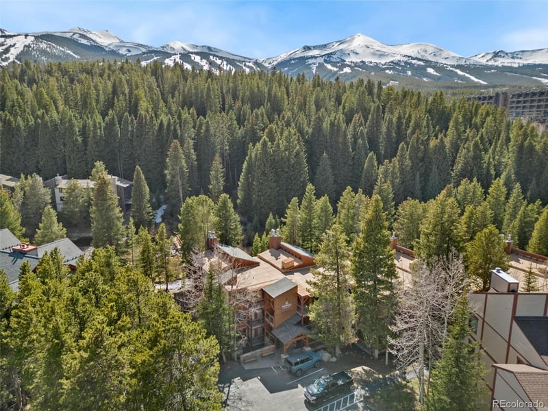805 Columbine Rd #202, Breckenridge, CO 80424
