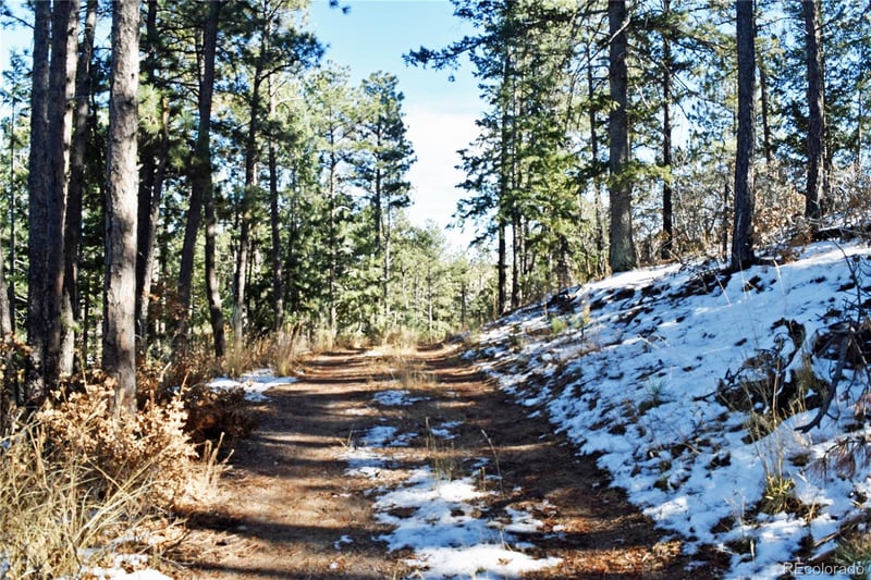 12778 Greenland Acres Rd Lot 13A, Larkspur, CO 80118