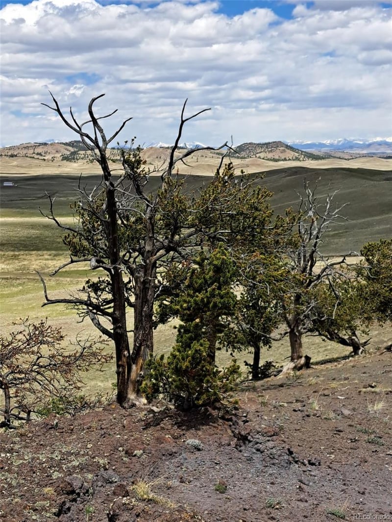 5250 Uxta Trl, Hartsel, CO 80449