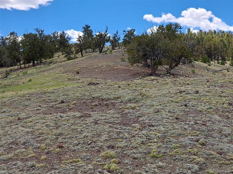 5250 Uxta Trl, Hartsel, CO 80449