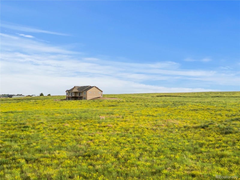 35652 Happiness Trl, Kiowa, CO 80117