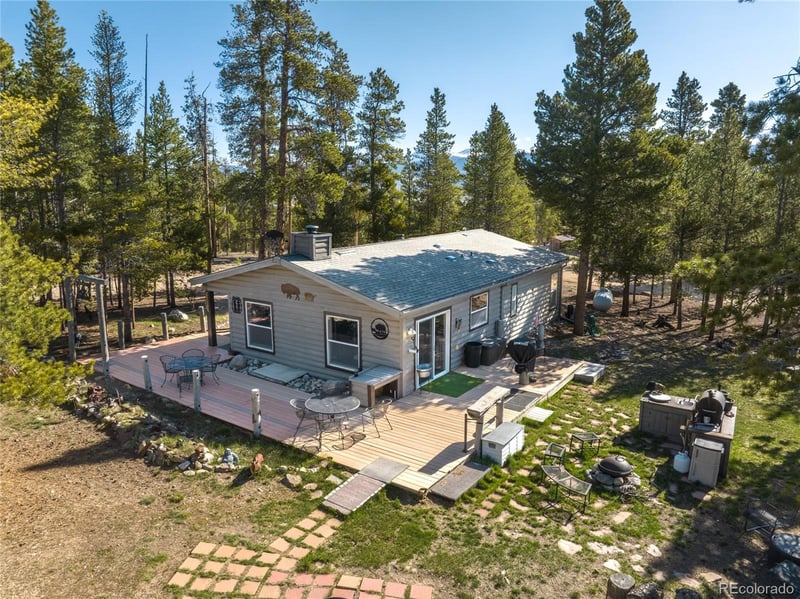 246 Spruce Dr, Twin Lakes, CO 81251