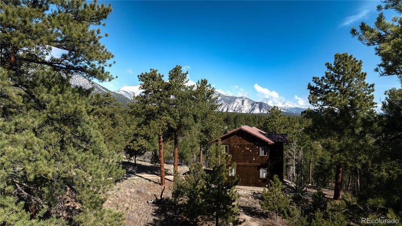 14320 County Road 261h, Nathrop, CO 81236