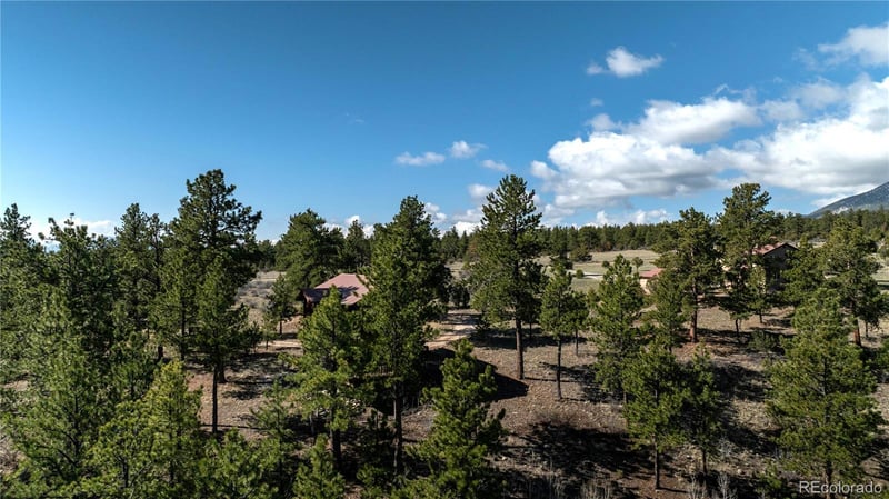 14320 County Road 261h, Nathrop, CO 81236