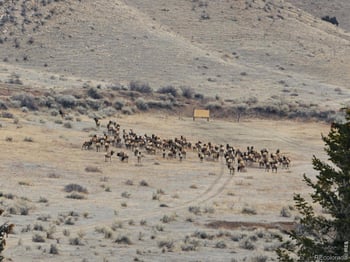 3310 County Road 80, Wellington, CO 80549