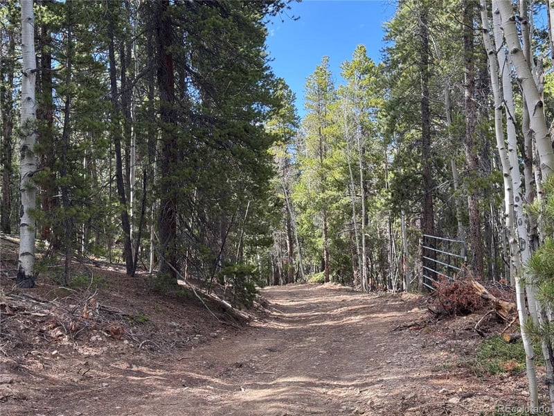 004 Pewabic Mine Rd Lot N006791, Central City, CO 80427