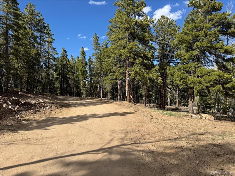 004 Pewabic Mine Rd Lot N006791, Central City, CO 80427