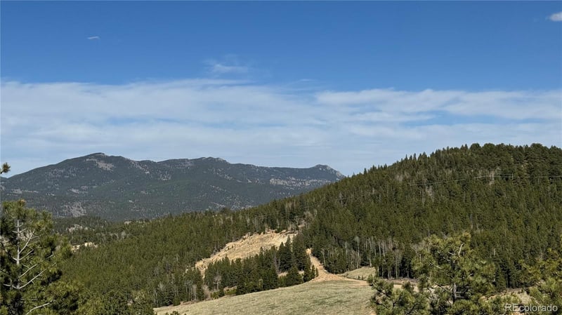 004 Pewabic Mine Rd Lot N006791, Central City, CO 80427