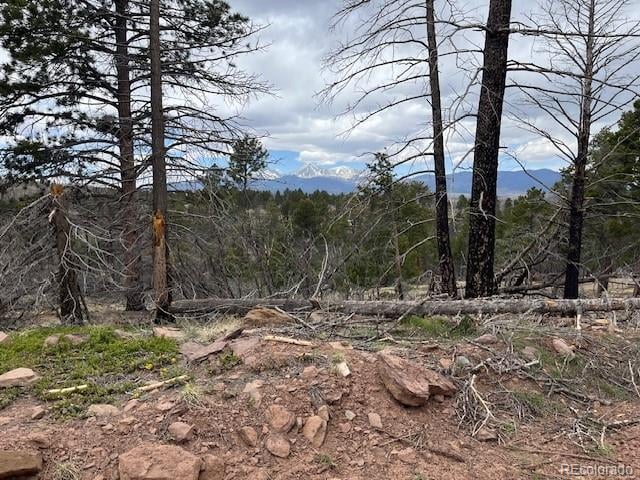 Lot 513 Leslie Loop, Fort Garland, CO 81133