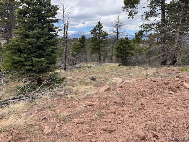 Lot 513 Leslie Loop, Fort Garland, CO 81133