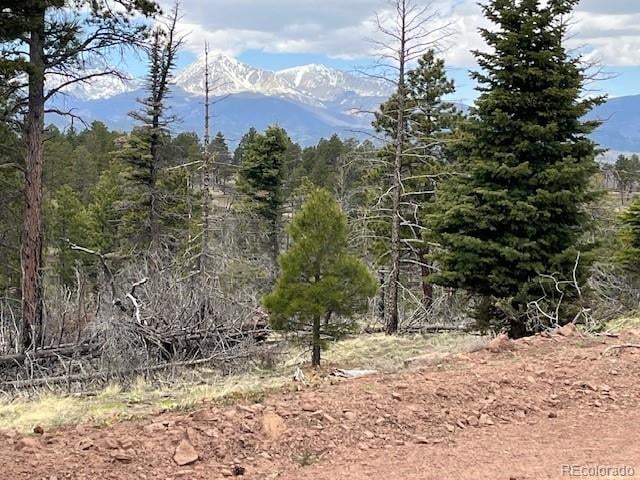 Lot 513 Leslie Loop, Fort Garland, CO 81133