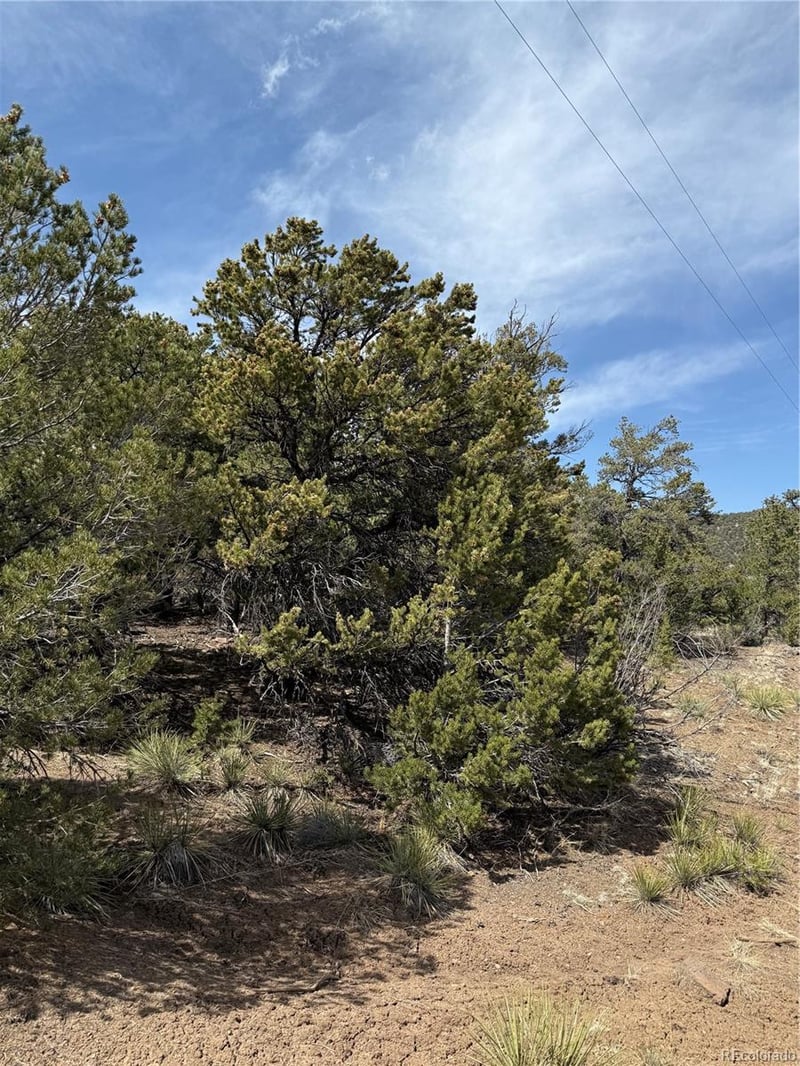 673 Hidden Valley Rd, South Fork, CO 81154