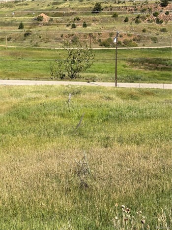 1st St, Cripple Creek, CO 80813