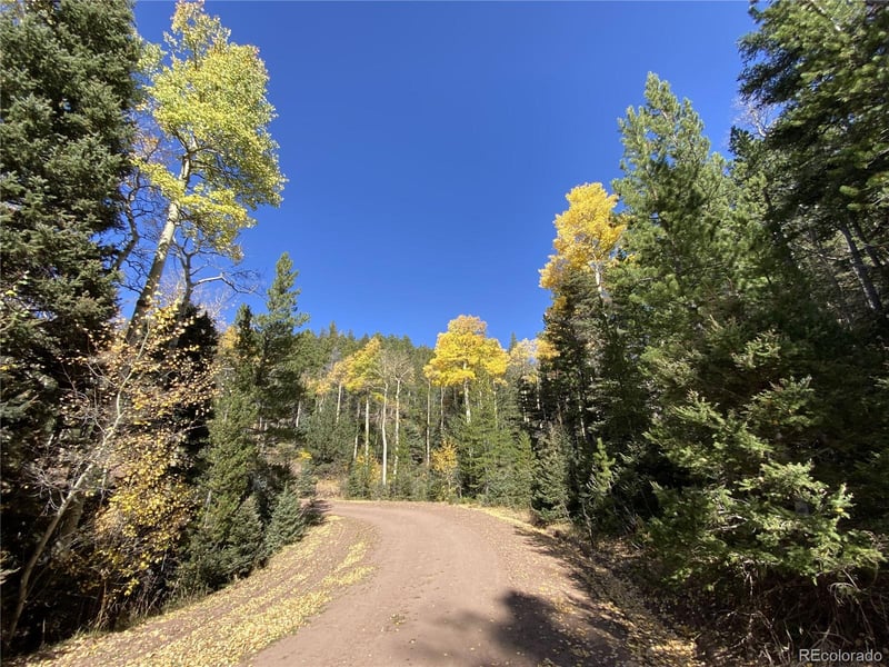 2700-2701 Purnell Ln, Fort Garland, CO 81133