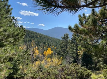 2700-2701 Purnell Ln, Fort Garland, CO 81133