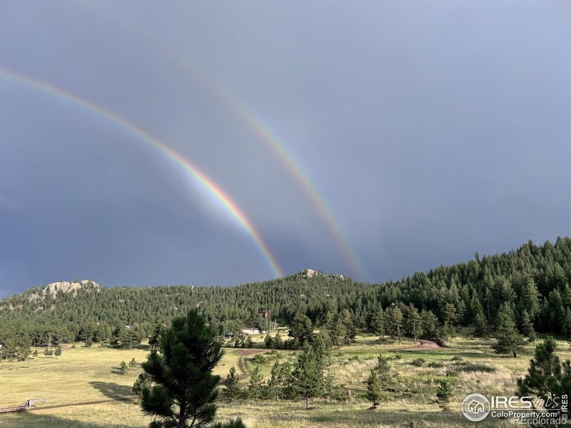 78 Mount Champion Dr, Livermore, CO 80536